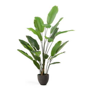 Umelý banánovník (výška 210 cm) – Kave Home vyobraziť