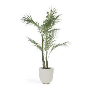 Umelá palma (výška 70 cm) – Kave Home vyobraziť