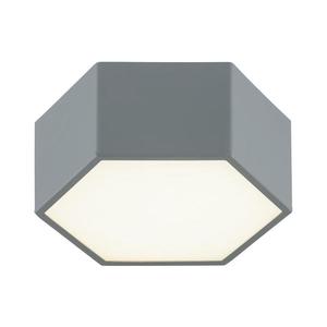 Argon Argon 8784 - LED Stropné svietidlo LIBERO LED/12W/230V 3000K šedá vyobraziť