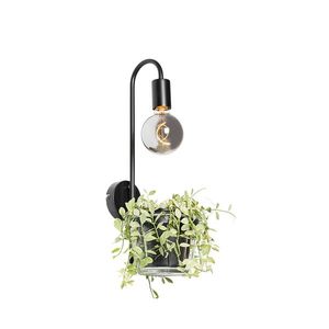 Moderná nástenná lampa čierna so sklom - Roslini vyobraziť