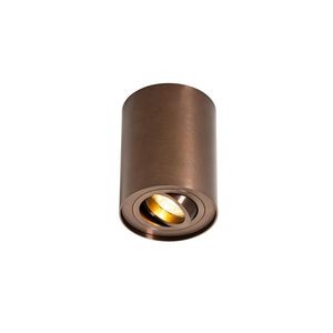Inteligentný stropný reflektor tmavý bronz nastaviteľný vrátane Wifi GU10 50mm - Rondoo Up vyobraziť