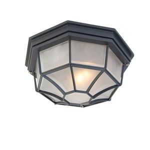 Vidiecke stropné svietidlo tmavosivá 26, 5 IP44 - Bri vyobraziť