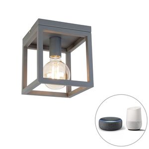 Priemyselné inteligentné stropné svietidlo tmavosivé vrátane Wifi G95 - Cage vyobraziť
