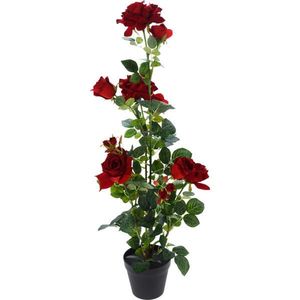 XXXL RUŽA 95 cm vyobraziť