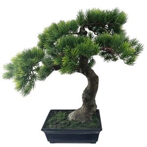 Ambia Home BONSAJ 43 cm vyobraziť