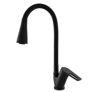 RAV Slezák RAV Slezák - Vodovodné batérie drezová s flexibilným ramienkom so sprchou COLORADO, Farba: čierna matná, Rozmer: 1/2 '' CO206.5 / 13cm vyobraziť