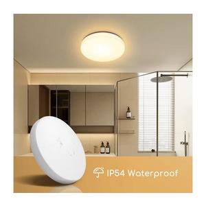 B.V. - LED Kúpeľňové stropné svietidlo LED/24W/230V 3000K IP54 vyobraziť