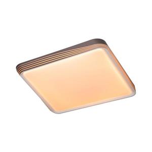 Rabalux Rabalux 71166 - LED Stropné svietidlo DRUZOR LED/40W/230V 3000K vyobraziť