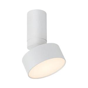 Rabalux Rabalux 71326 - LED Stropné svietidlo OVIDIA LED/10W/230V 3000K biela vyobraziť