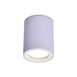 Rabalux Rabalux 71343 - Stropné svietidlo KOVEN 1xGU10/35W/230V biela vyobraziť
