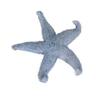 Soška z polyresínu (výška 5 cm) Star – Ixia vyobraziť
