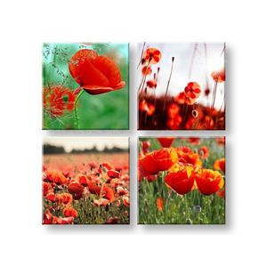 Obraz na stenu Meadow of poppy poppies 40x40 cm vyobraziť