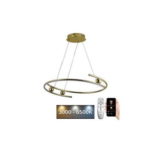 LED Stmievateľný luster na lanku LED/50W/230V 3000-6500K + diaľkové ovládanie vyobraziť