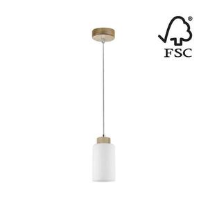 1720160 - Luster na lanku BOSCO 1xE27/60W/230V vyobraziť