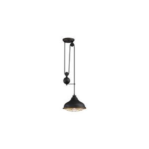 Westinghouse Westinghouse 61249 - Luster na lanku CHAVES 1xE27/60W/230V vyobraziť