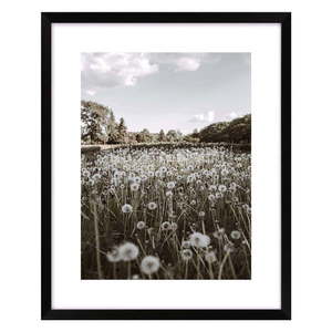Obraz 40x50 cm Meadow – knor vyobraziť