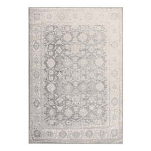 Svetlosivý koberec 160x230 cm Muse Heritage Grey Silver – Asiatic Carpets vyobraziť