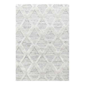 Svetlosivý koberec 160x230 cm Pisa – Ayyildiz Carpets vyobraziť