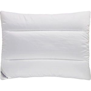 Sleeptex VANKÚŠ, 70/90 cm vyobraziť