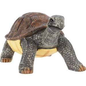 Záhradná dekorácia Korytnačka, polyresin, 19 x 15, 5 x 12 cm vyobraziť