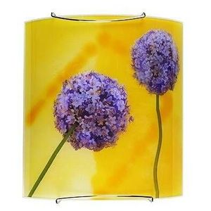 Nástenná lampa 1X60W E27 viacfarebná CESNAK vyobraziť