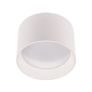 T-LED Biele stropné LED svietidlo Alexo 120mm 12W IP54 CCT stmievateľné 105140 vyobraziť