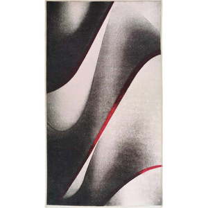 Bielo-čierny prateľný koberec 230x160 cm - Vitaus vyobraziť