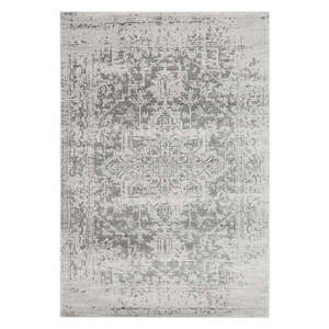 Sivý koberec 80x150 cm Nova – Asiatic Carpets vyobraziť