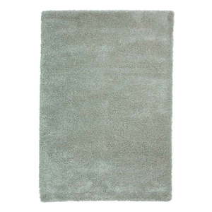 Svetlozelený koberec 120x170 cm Sierra – Think Rugs vyobraziť
