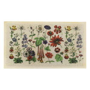 Rohožka 60x90 cm – Artsy Doormats vyobraziť