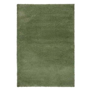 Zelený koberec 160x230 cm – Flair Rugs vyobraziť