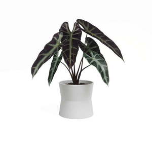 Keramický kvetináč ø 14 cm Diana – Artevasi vyobraziť