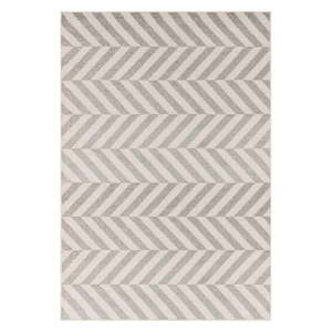 Svetlosivý koberec 200x290 cm Muse – Asiatic Carpets vyobraziť
