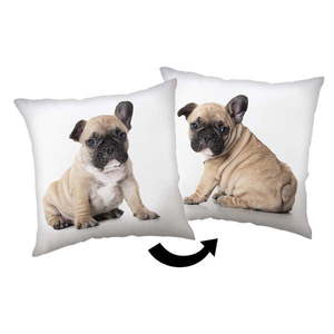 Detský vankúšik 40x40 cm Bulldog – Jerry Fabrics vyobraziť