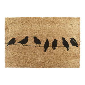 Rohožka z kokosového vlákna 60x90 cm Birds On a Wire – Artsy Doormats vyobraziť