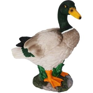 Záhradná dekorácia Káčer, 21 x 11, 5 x 26, 5 cm, polyresin vyobraziť
