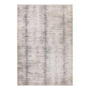 Koberec 160x240 cm Anders Grey – Asiatic Carpets vyobraziť