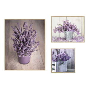 Obrazy v súprave 3 ks 40x50 cm Purple Flowers – knor vyobraziť