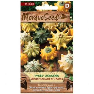 Tekvica okrasná MIX vyobraziť