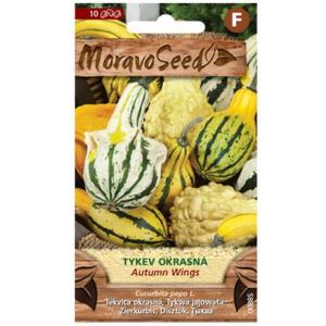 Tekvica okrasná Autumn Wings vyobraziť