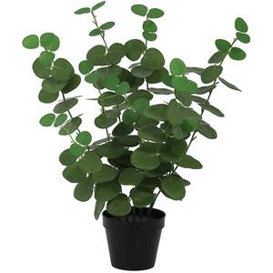 Umelý eukalyptus v kvetináči 50 cm vyobraziť