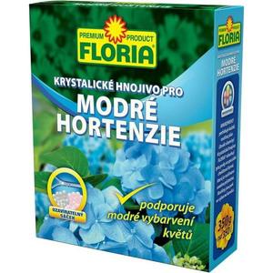 Hortenzia, modrá modrá vyobraziť