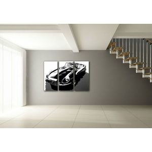 Ručne maľovaný POP Art obraz JAGUAR | rôzne rozmery (POP ART obrazy) vyobraziť