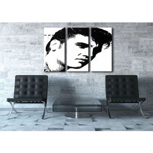 Ručne maľovaný POP Art obraz ELVIS | rôzne rozmery (POP ART obrazy) vyobraziť