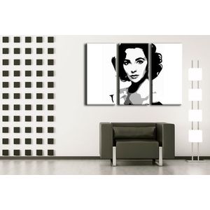 Ručne maľovaný POP Art obraz Elizabhet Taylor | rôzne rozmery (POP ART obrazy) vyobraziť