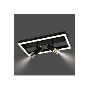 LED Stmievateľné stropné svietidlo LED/50W/230V 3000-6500K čierna +diaľkové ovládanie vyobraziť