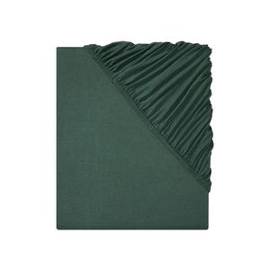 LIVARNO home Napínacia džersejová plachta, 180 – 200 x 200 cm (zelená) vyobraziť