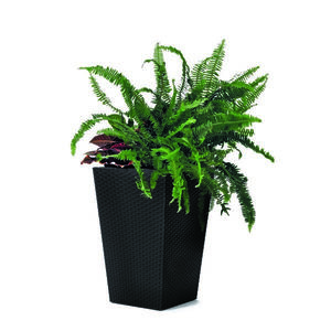 Ketter Obal na kvetináč Rattan Planter antracit, 23, 6 l, 29 x 44 x 29 cm vyobraziť