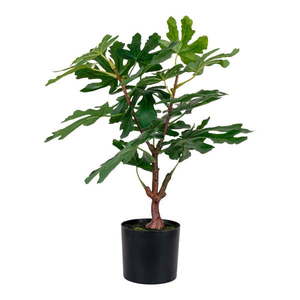 Umelá rastlina (výška 60 cm) Fig – House Nordic vyobraziť