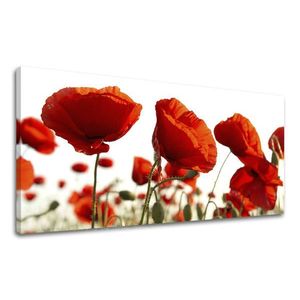 Obraz na stenu Panoráma KVETY 60x120 cm vyobraziť